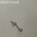 해밀턴치과의원 이미지