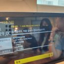 뚝섬 사흘카레 점심 : 로츠카츠카레, 고로케카레, 왕새우튀김카레 먹음!