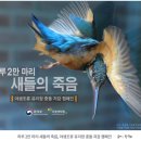 하브루타 독서토론: 신나는 질문놀이 하브루타 | 질문배움연구소 겨울방학 특강 '시사하브루타 글쓰기' 수업 후기 전해드립니다^^
