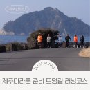 신효동 하귤나무 | 제주 마라톤 준비 트멍길 러닝코스 시민기자단 러닝크루 후기