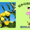 세중농장 이미지