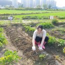 훈훈 농장 이미지