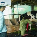 토평목장 이미지