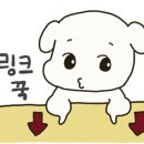 고기의 정점 이미지