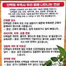허준 따라쟁이 카페
