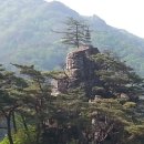 박달재자연휴양림 이미지