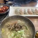역삼1-117 | 강남역 칼국수 맛집 심가네칼국수 강남역본점 후기