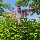 바다향기수목원(서측 주차장) 이미지