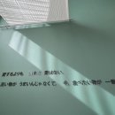 상짱 이미지