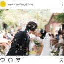 본식DVD 추천 및 비교 + 스튜디오 다믐 계약 후기 (짝꿍할인 O)