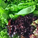 늘푸른농장 1 이미지