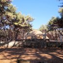 창원 최윤덕 묘역 이미지