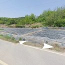 부등 농장 이미지