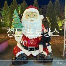 프로방스 | 낮에도 밤에도 예쁜 청도 프로방스 완벽 정복 후기! (ft. 입장료, 코스 추천)