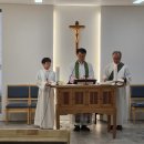 전재명 프란시스 신부님(교무원장) 집전 이미지