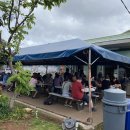 노스파이 이미지