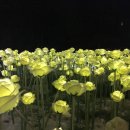 세븐일레븐 밀양원룸센타점 이미지