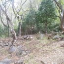 성주사 입구 이미지