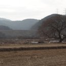 석교천 이미지