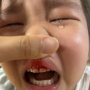 예설 이미지
