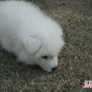 산아래 민박 이미지