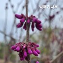 아르숲 생활문화센터 | 강원대 캠퍼스와 도립재활병원 산책
