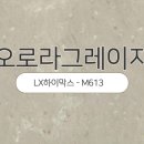 오로라의원 네이버블로그