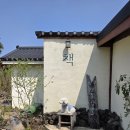 엄마집 | <제주 서쪽 서점> 한경면 책방 소리소문 애견동반 후기