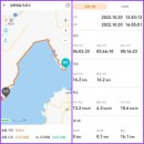 남파랑76코스(고흥,보성구간) : 장선도와 노두길