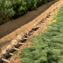 광일정비 이미지