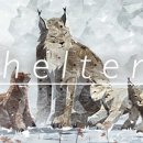 스라소니그래픽