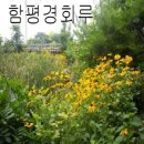 함평 경회루 이미지