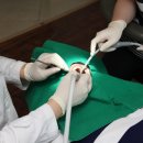 계양치과의원 이미지