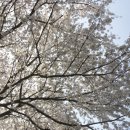 평사리공원 야영장 이미지