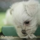 재영동물병원 이미지