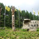 강원관광대우1 이미지