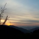 축령산휴림 이미지