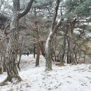 송죽상사