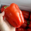 만천농장 이미지