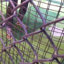 리얼스크린골프존 이미지