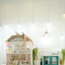 우주개스타 이미지