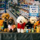 멍스토리 이미지