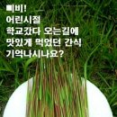 삐비를 아시나요? 이미지