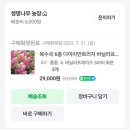 라임라이트 목수국 키우기｜바닐라프레이즈 색변화 실패 후기와 관리 노하우
