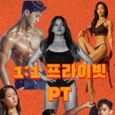 유엔에프짐 이미지