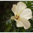 바베큐광장 이미지