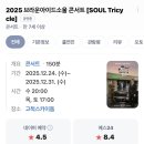 11545-03-24-12 | 🎫. 12/24 < 브라운아이드소울 콘서트 Tricycle >후기...돔 플로어석 S석 L-03구역 ) - 좋았지만 아쉬운...