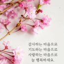 3월13일 금요일 13일의금요일에도 출석은 해야겠죠~~ 이미지