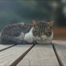 현대고시텔 이미지