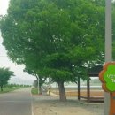 친환경까치마을 이미지